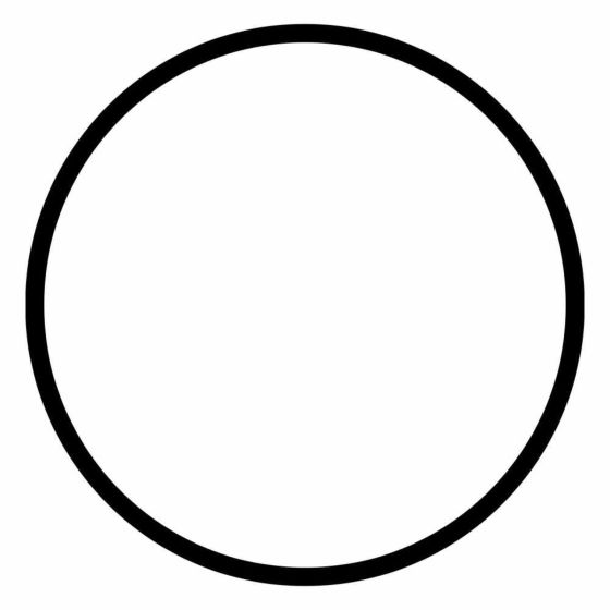 O-ring de 2.5" de diámetro, para el portafiltro blanco de 10" de largo