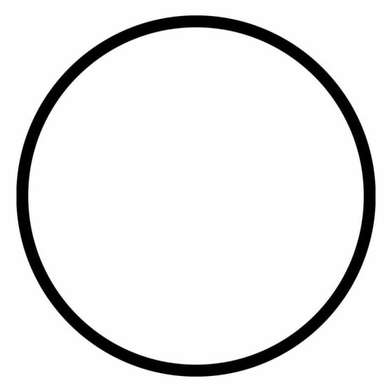 O-ring de 2.5" de diámetro, para el portafiltro blanco de 10" de largo