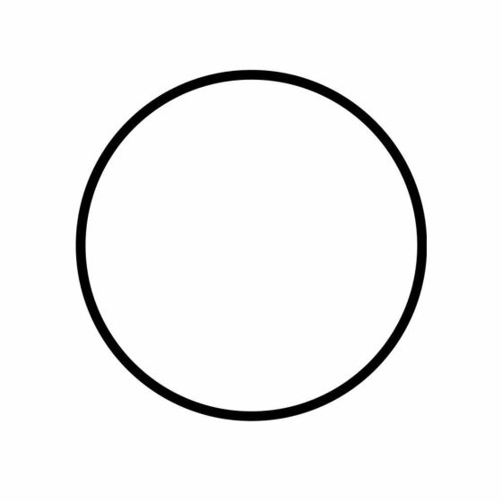 Junta torica para las bombas de la serie SCALA130, 200