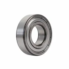 Balero trasero para las bombas de las series SCALA130, 200
